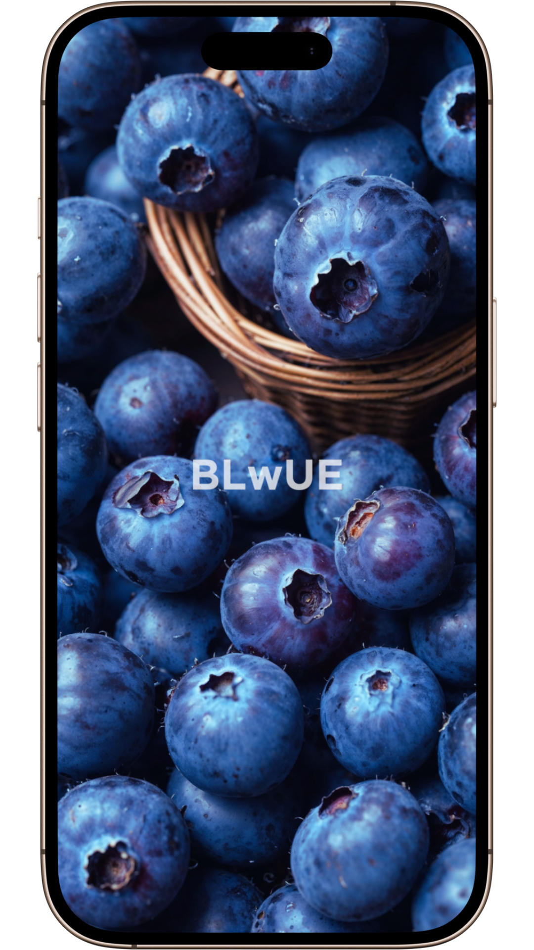 Cute Wallpapers | Serene Blue Wilderness Collection