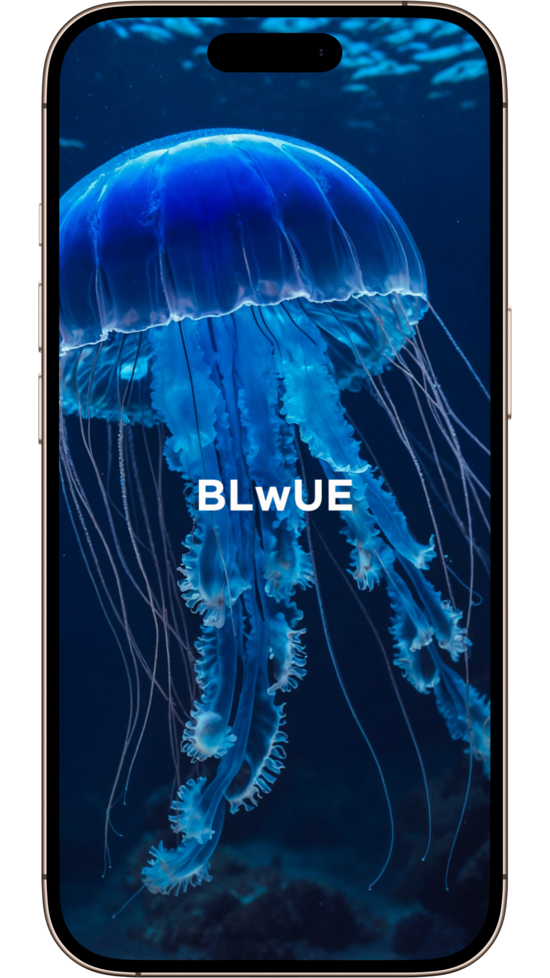 Cute Wallpapers | Serene Blue Wilderness Collection