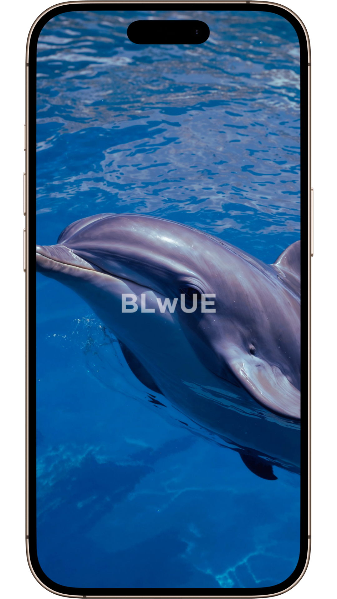 Cute Wallpapers | Serene Blue Wilderness Collection