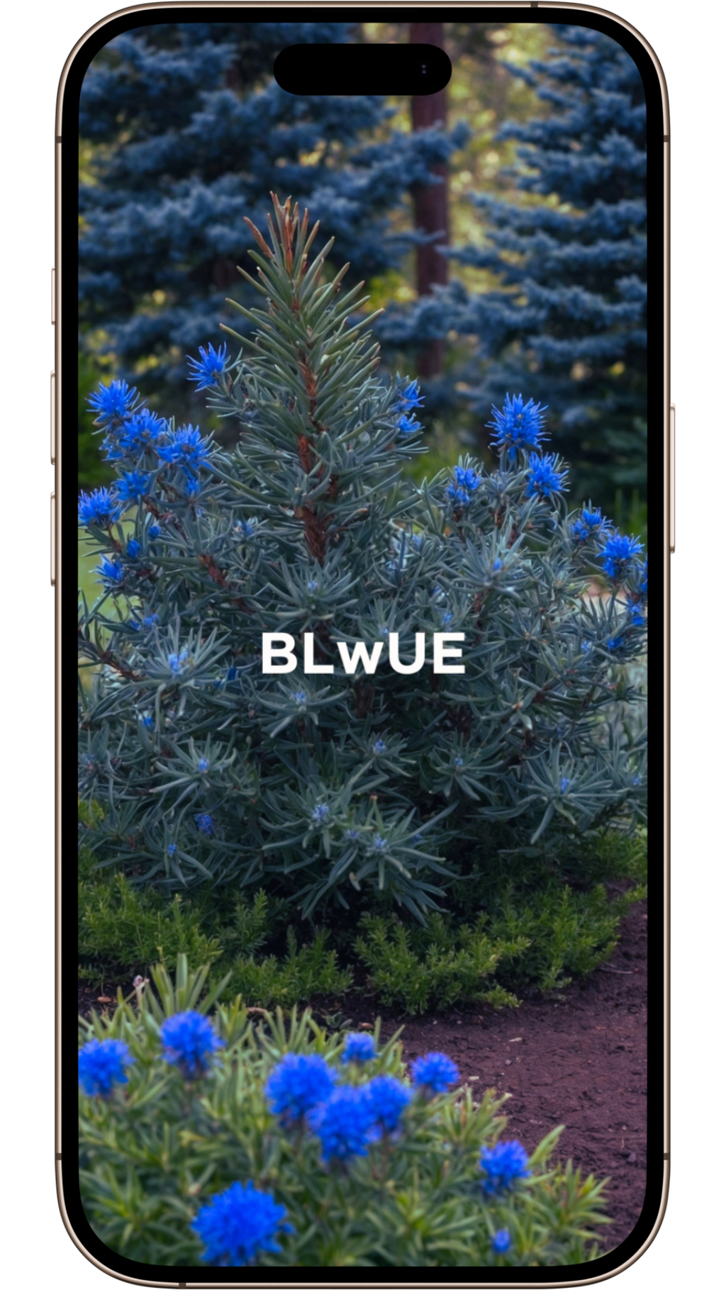 Cute Wallpapers | Serene Blue Wilderness Collection